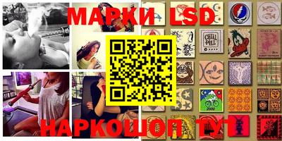 индика Рыбинск