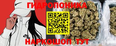 соль ск Пугачёв