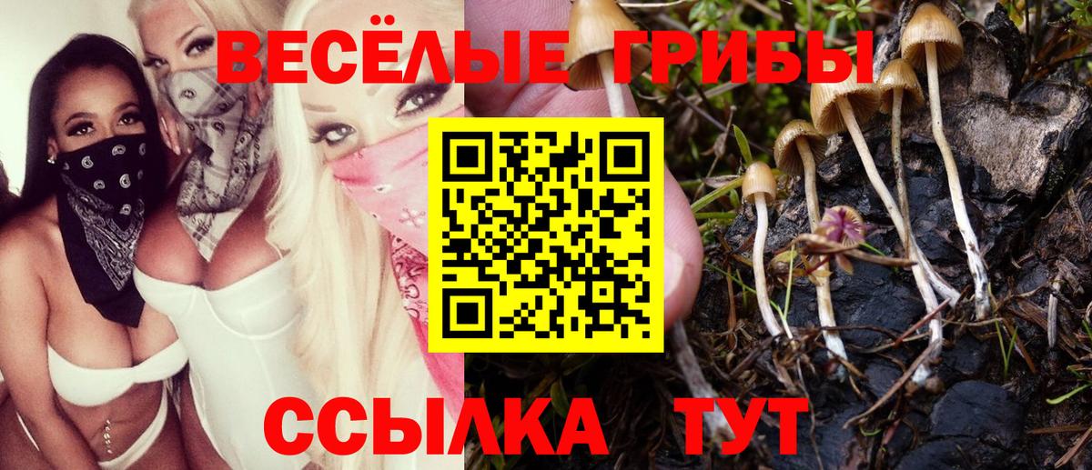 Галлюциногенные грибы мицелий Сочи